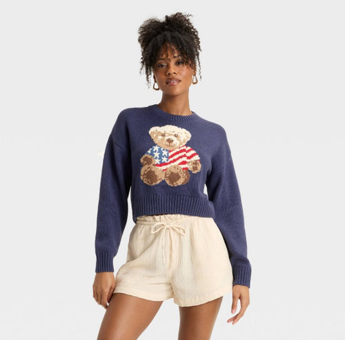 Flag Bear Knit Sweater (Target)