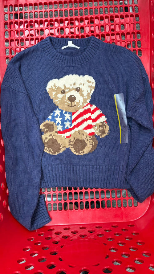 Flag Bear Knit Sweater (Target)